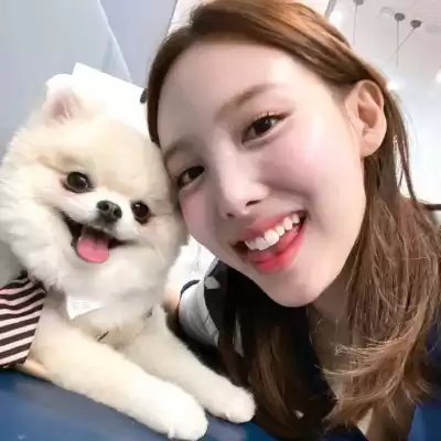 闻皎月